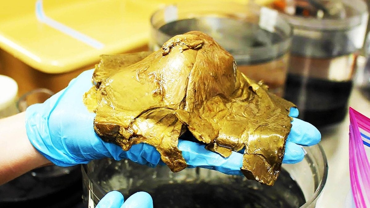 Okyanusun derinliklerinde bulunmuştu: Altın kürenin sırrı ortaya çıktı