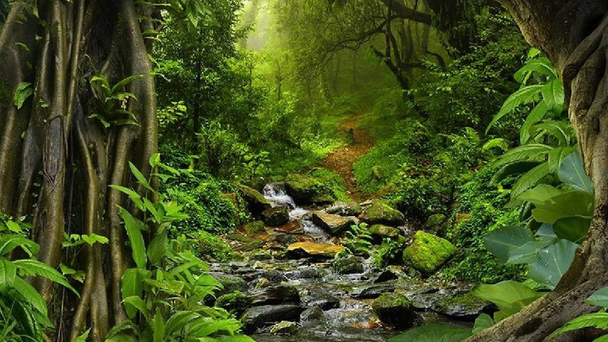 Dünyanın en az uyuyan canlısı: Günde sadece 30 dakika uyuyor