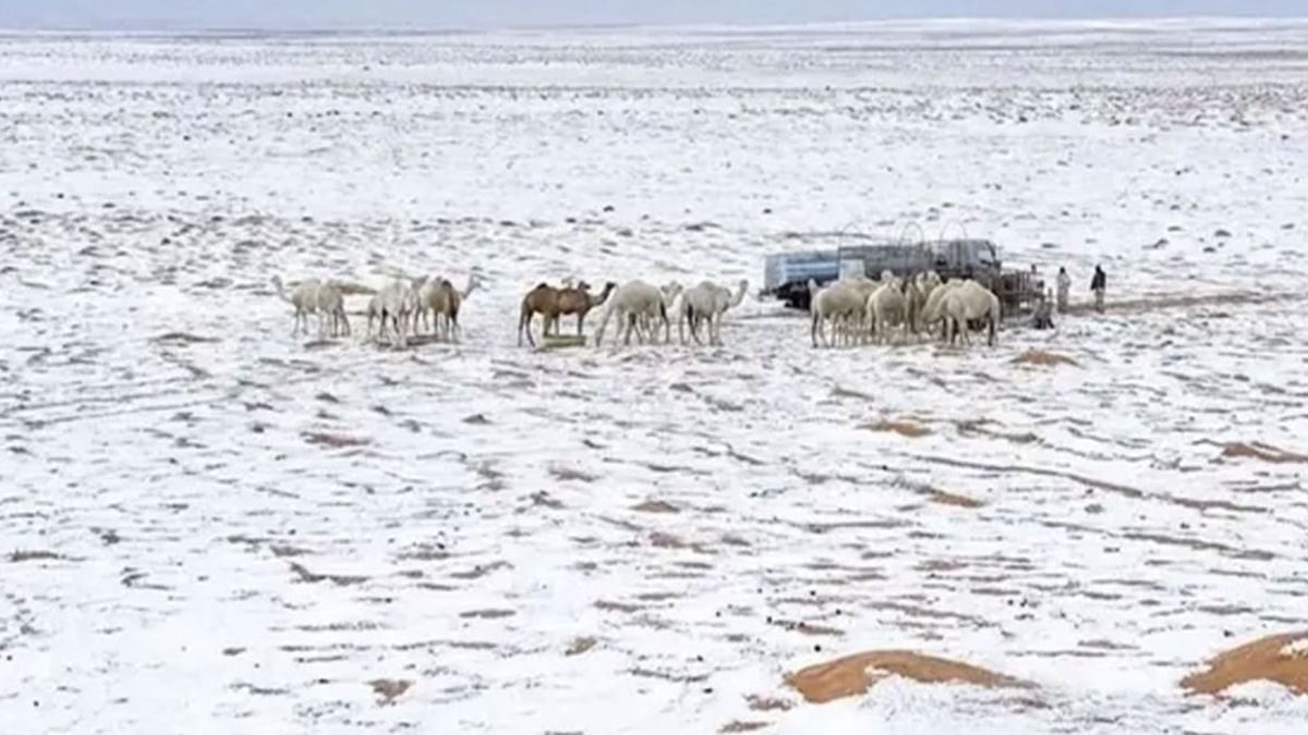 Görenleri şaşkına çeviren görüntü! Suudi Arabistan beyaza büründü