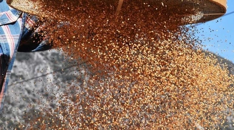 Yiyen kalsiyuma boğuluyor! Süt yanından bile geçemiyor