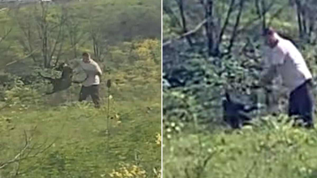 Köpeğe dakikalarca şiddet uyguladı! Çevredekilerin tepkilerine de aldırış etmedi