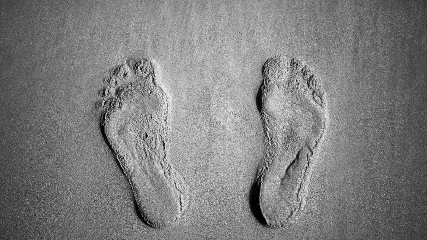 Tarih öncesi dinlenme tesisinde 115 bin yıllık gizemli insan ayak izleri bulundu