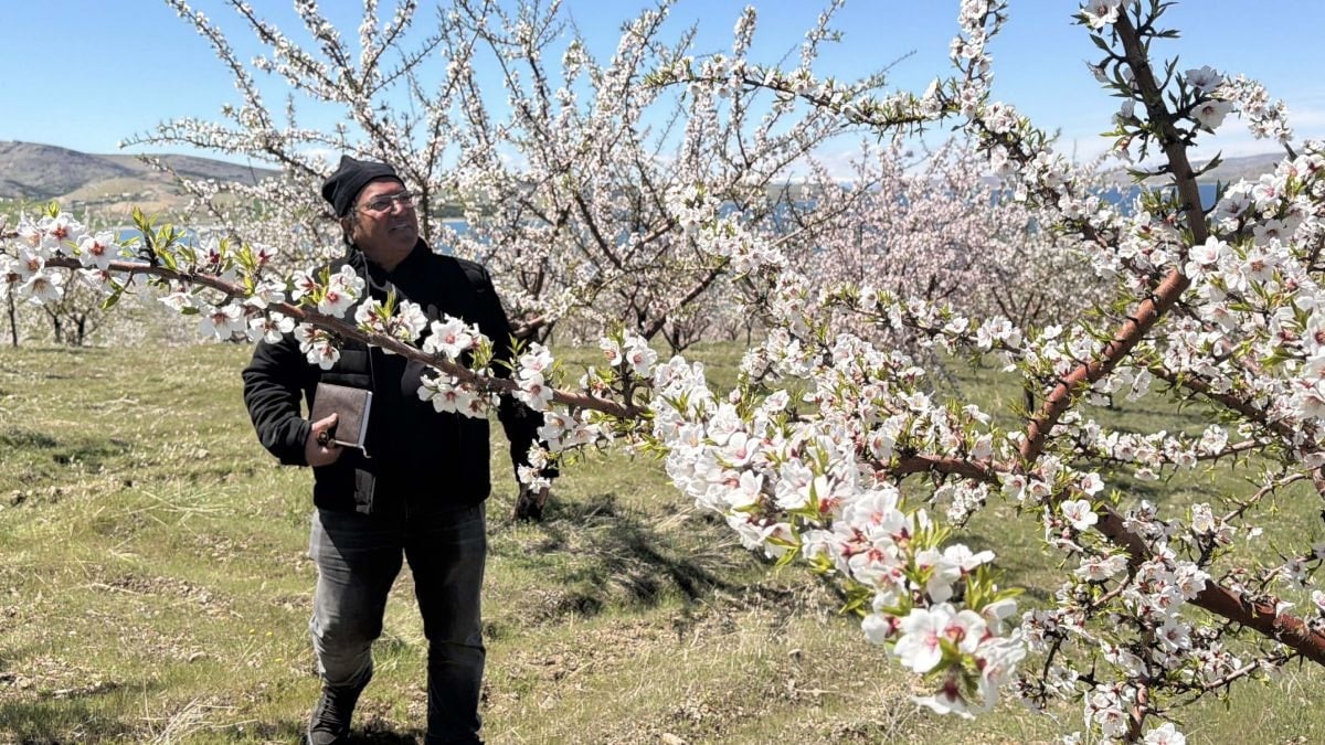 Yıllarca boş kalan atıl arazi şimdi para basıyor