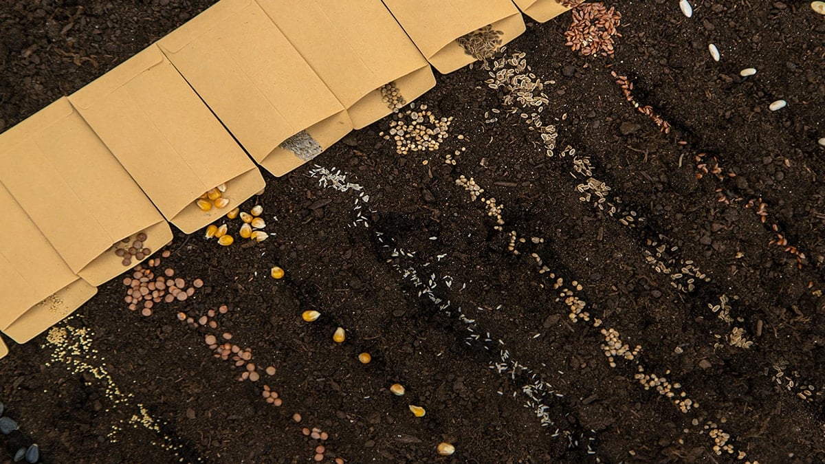 'Sakın dikmeyin' uyarılarını dinlemedi: Elde ettiği ürün herkesi şaşırttı