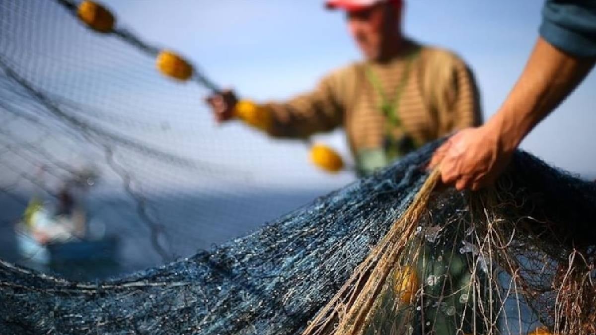 Balıkçı 50 milyonda bir denk gelen bir yaratık yakaladı