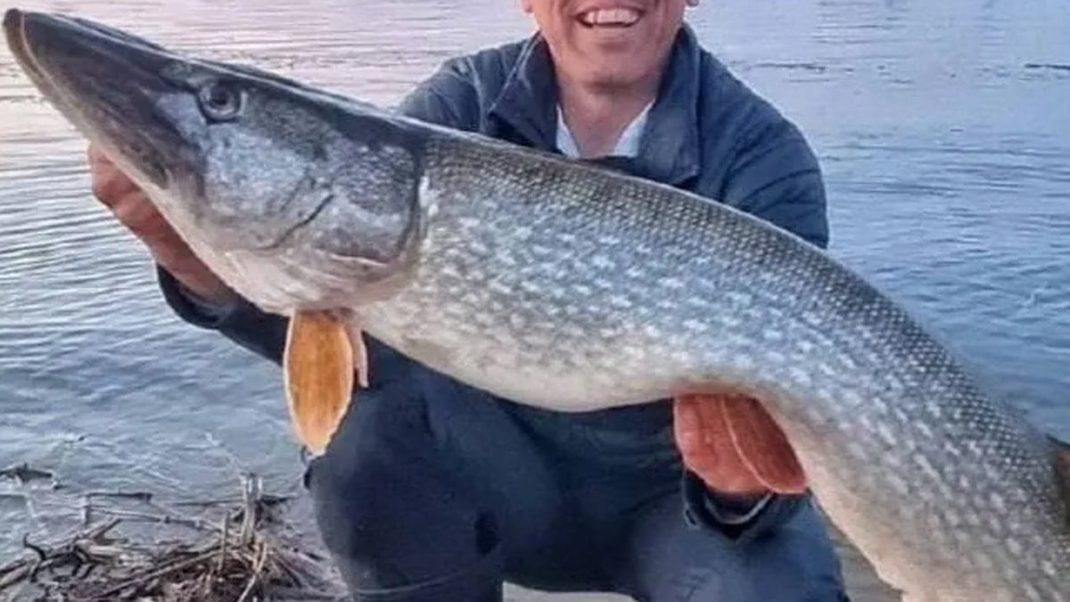 Yasağa rağmen dev balığı yakaladı 