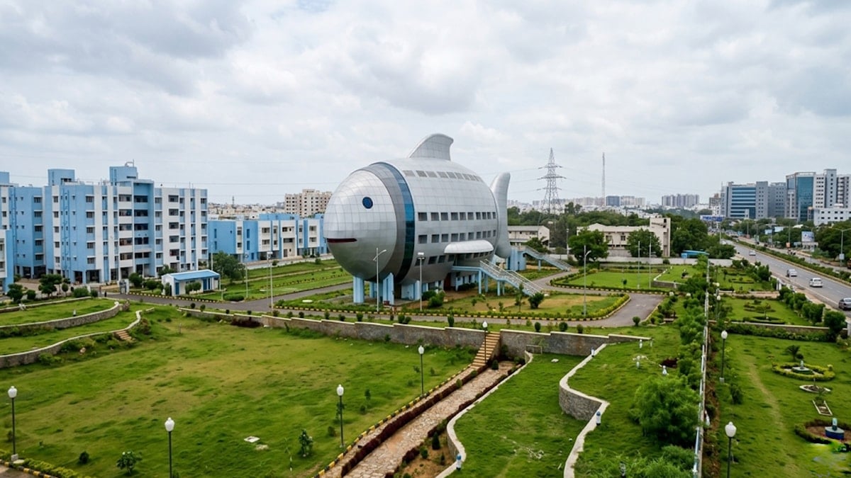 İçinden ofis çıkan dev balık 