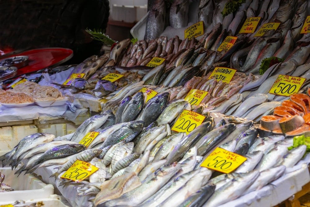 Nisan ayının en sağlıklı balıkları belli oldu: Yetişen tezgahtan alıyor
