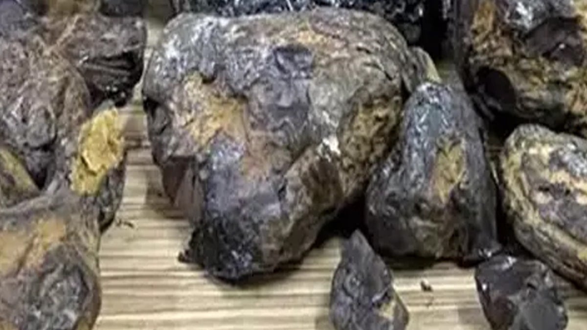 Gören çöp sanıp geçiyor ama tanesi servet değerinde: Kilosu tam 5 milyon lira