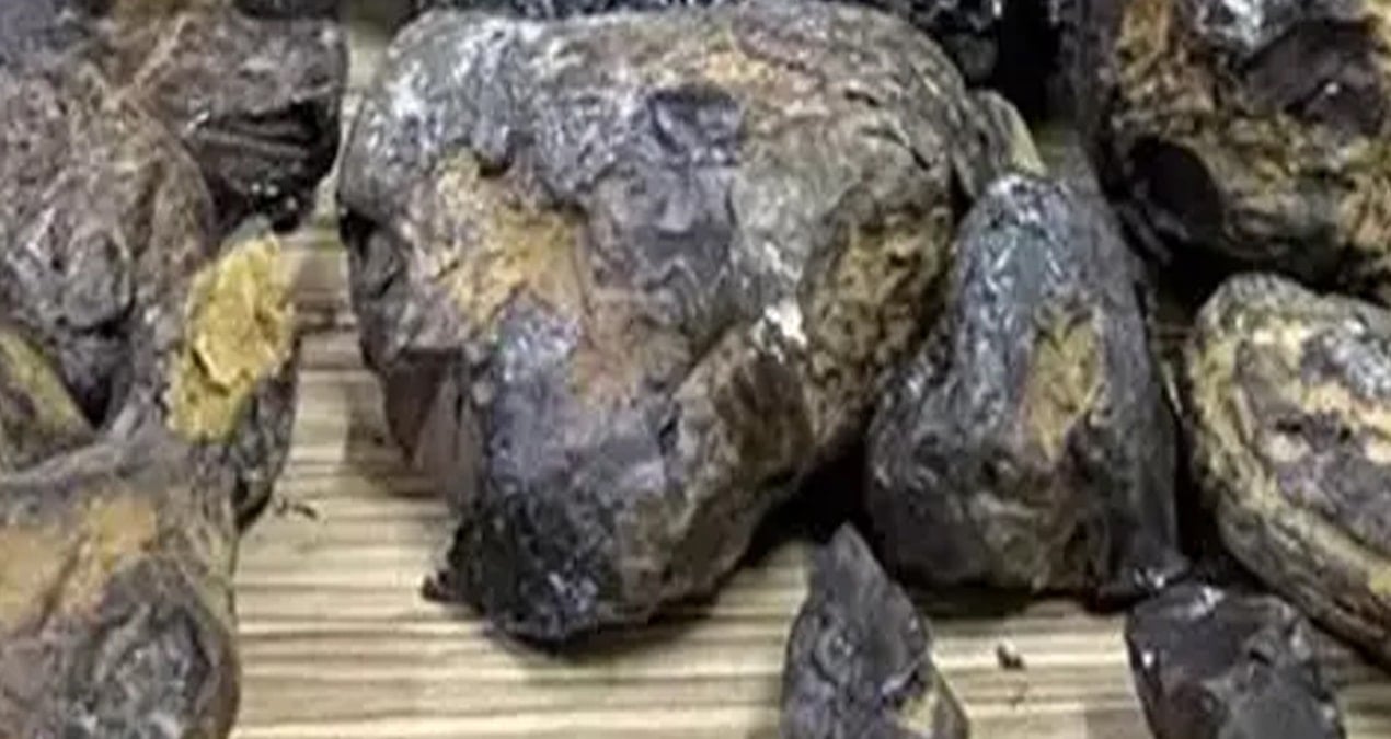 Gören çöp sanıp geçiyor ama tanesi servet değerinde: Kilosu tam 5 milyon lira