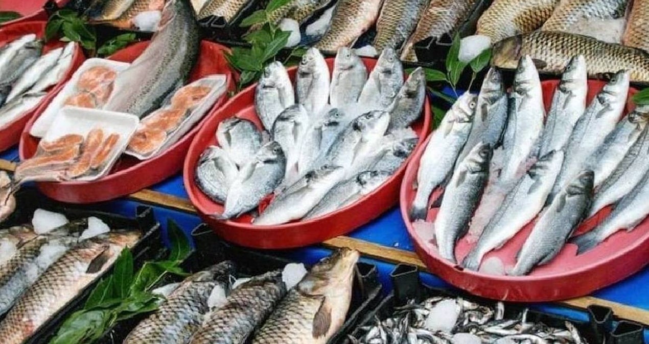 İstanbul kıyılarında Nisan bereketi: İşte kova kova balık tutulabilecek 27 nokta