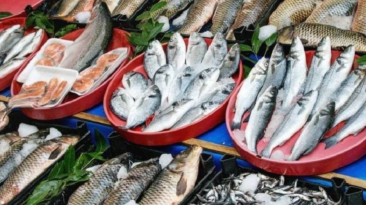 Balık yerken iki defa düşünün: Hepsinin içine sızdı