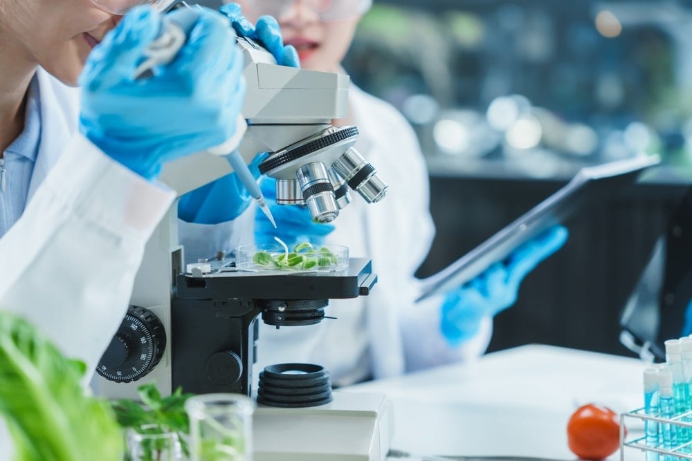 Sayı sayıyor çevresindeki olayları kaydediyor: Üstelik tüm bunları 'beyni' olmadan yapıyor