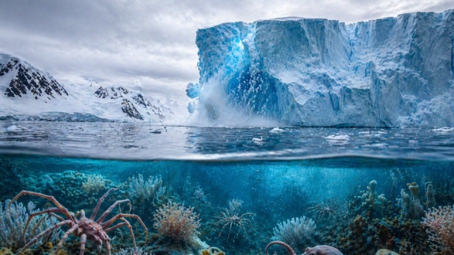Dev buzdağı koptu, gizli dünya ortaya çıktı