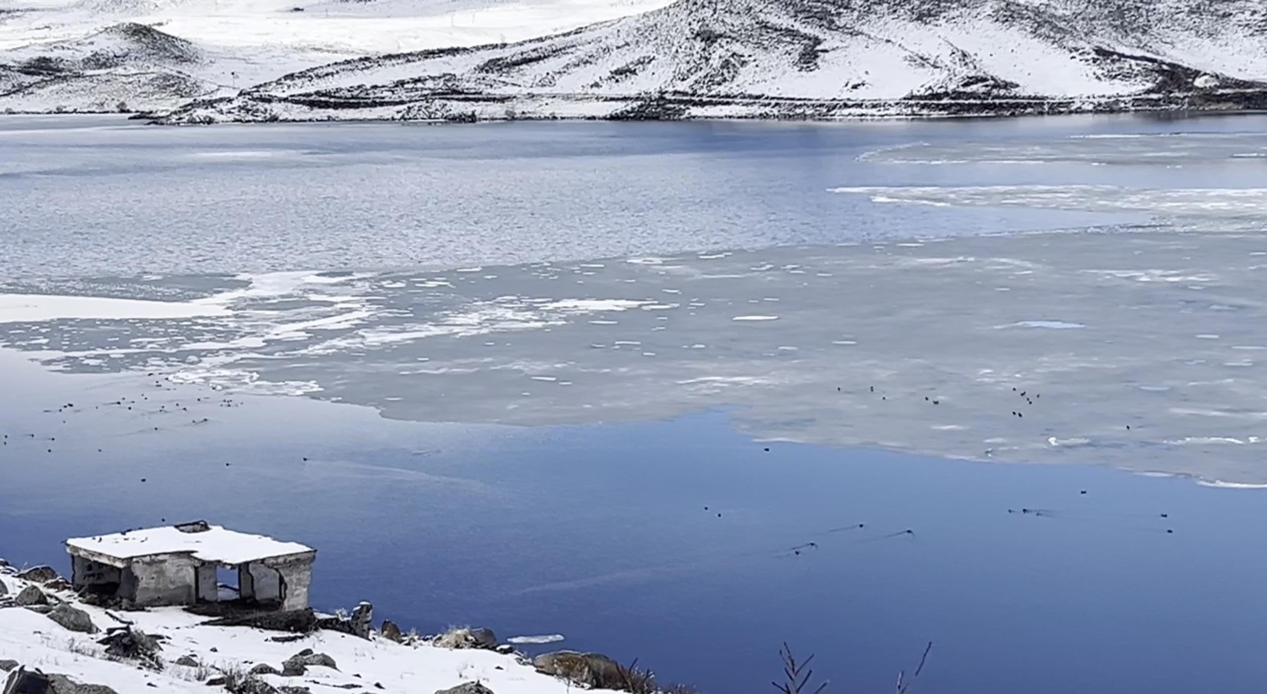 1 metrelik buz tabakası çözüldü, kuşlar geri döndü