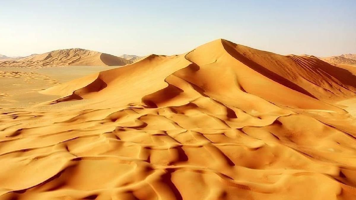 Çölün ortasında daha önce hiç görülmemiş bir yaratık bulundu