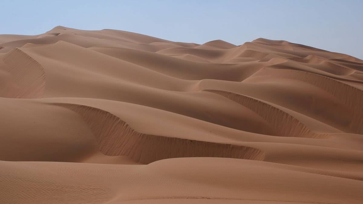 Çölün ortasında yeni bir dev yaratık bulundu
