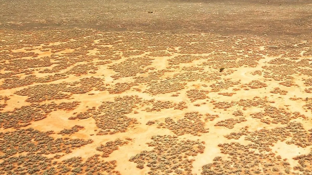 Çölün ortasındaki dev yarayı tesadüfen fark ettiler: Kaynağı açıklandı 