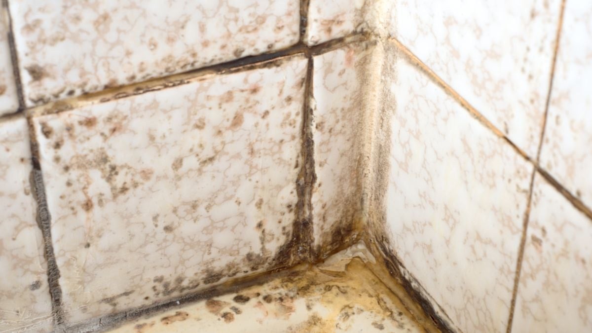 Meğer çözümü sirke değilmiş: Derz aralarını bembeyaz yapmanın formülü bulundu