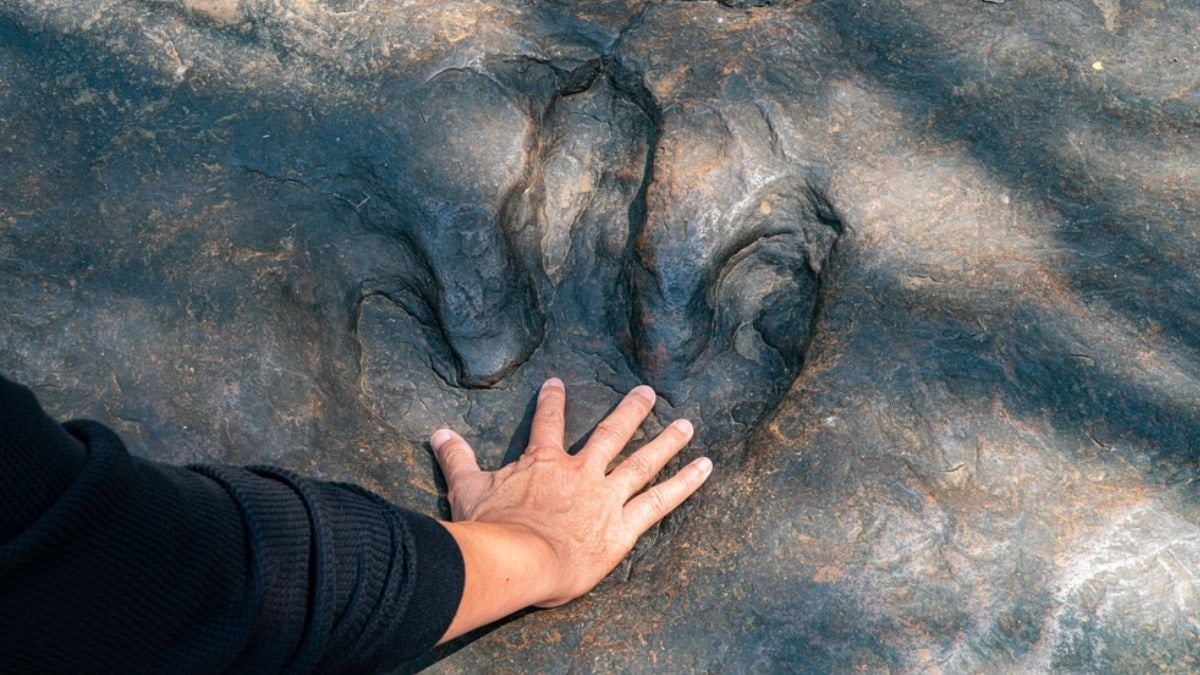 Saklı kalan hikaye gün yüzüne çıktı: Aslında yalnız gezmiyorlarmış