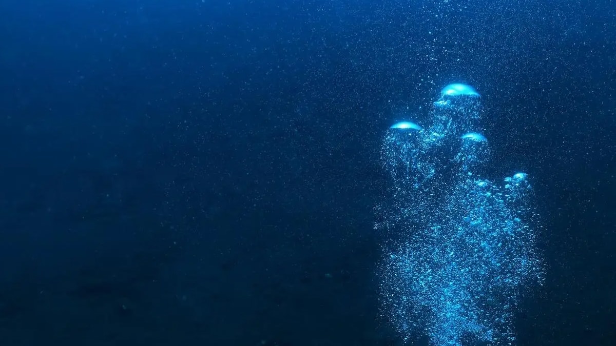 9 mideli dev canlı okyanusta saklanıyor: Tek bir kişi bile canlı göremedi