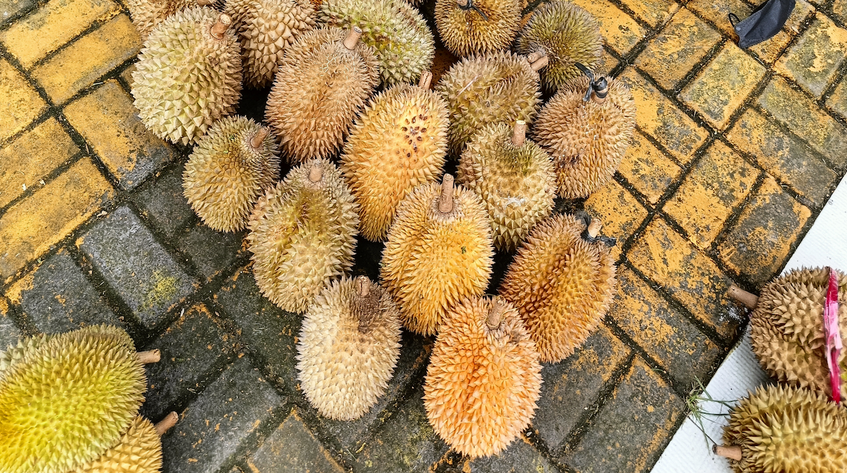 Kokusunu alan koşarak uzaklaşıyor tadına bakan bir daha vazgeçemiyor