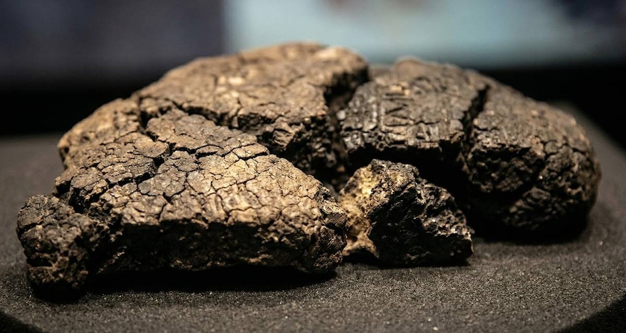 Eskişehir'de bulunan binlerce yıllık ekmeğin sırrı ortaya çıktı