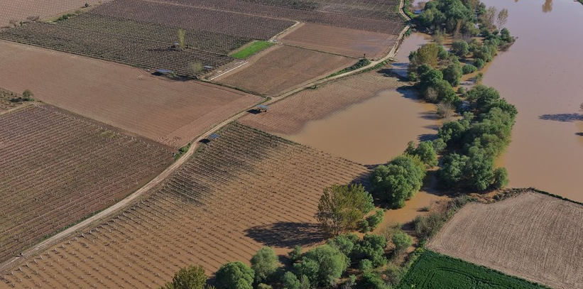 Manisa'da Gediz Nehri taştı: Üzüm bağları ve tarım arazileri su altında kaldı
