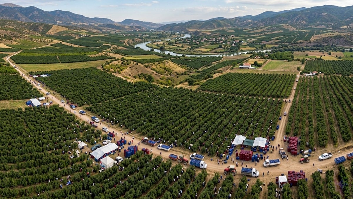 Market raflarında paketi 85 lira: Hücreleri yenileyen mucize