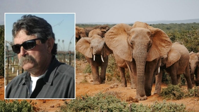 Avcı av oldu! Milyoner iş insanını filler ezdi