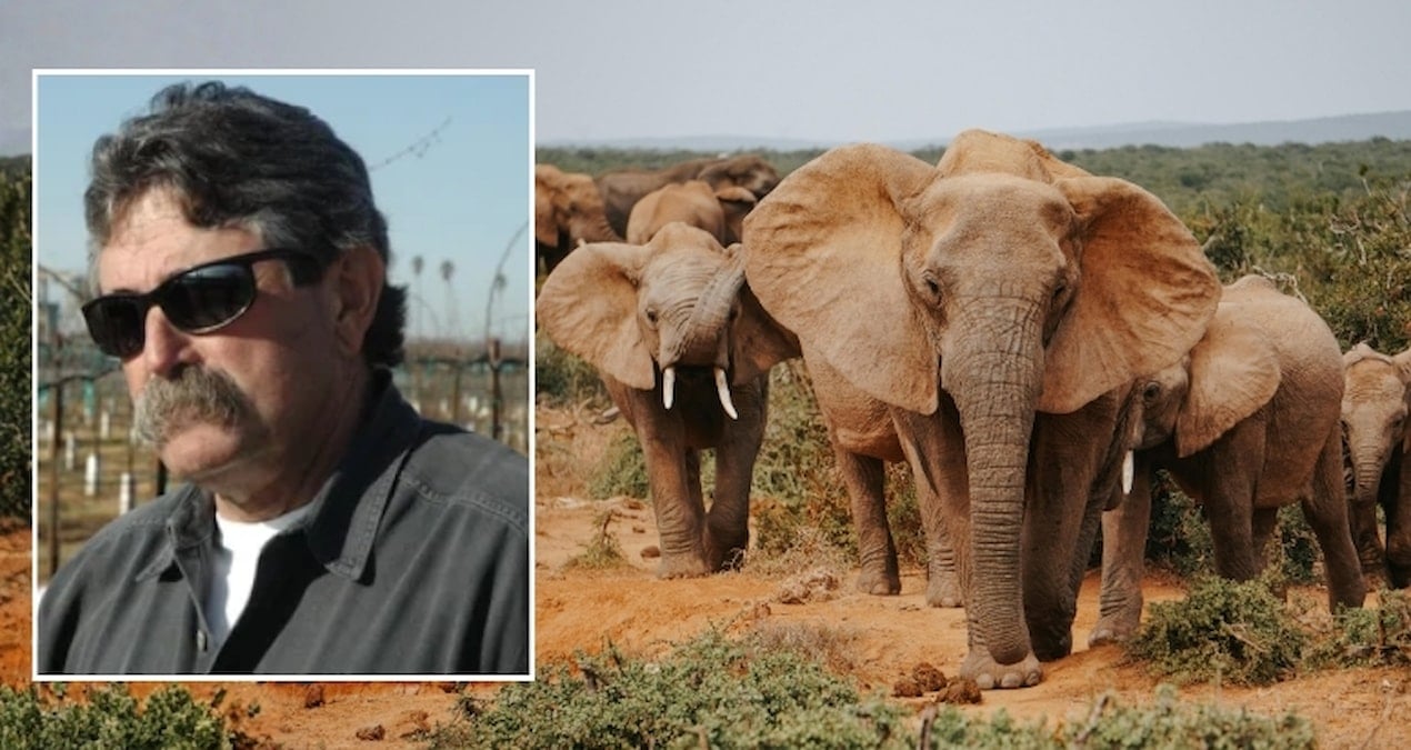 Av meraklısı iş insanı, fillerin altında ezilerek can verdi