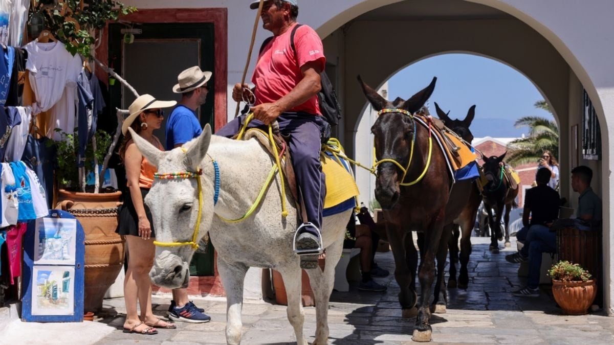 Burada araba kullanmak yasak! Ulaşım eşeklerle sağlanıyor