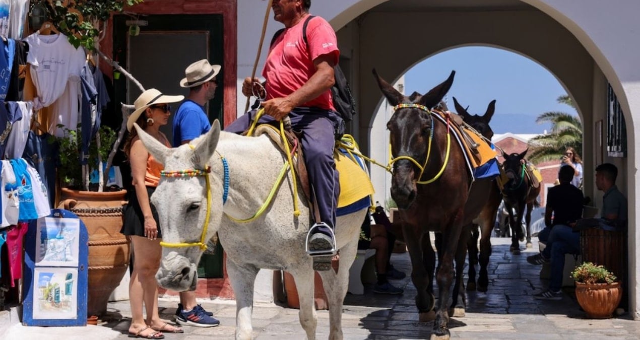Burada araba kullanmak yasak! Ulaşım eşeklerle sağlanıyor