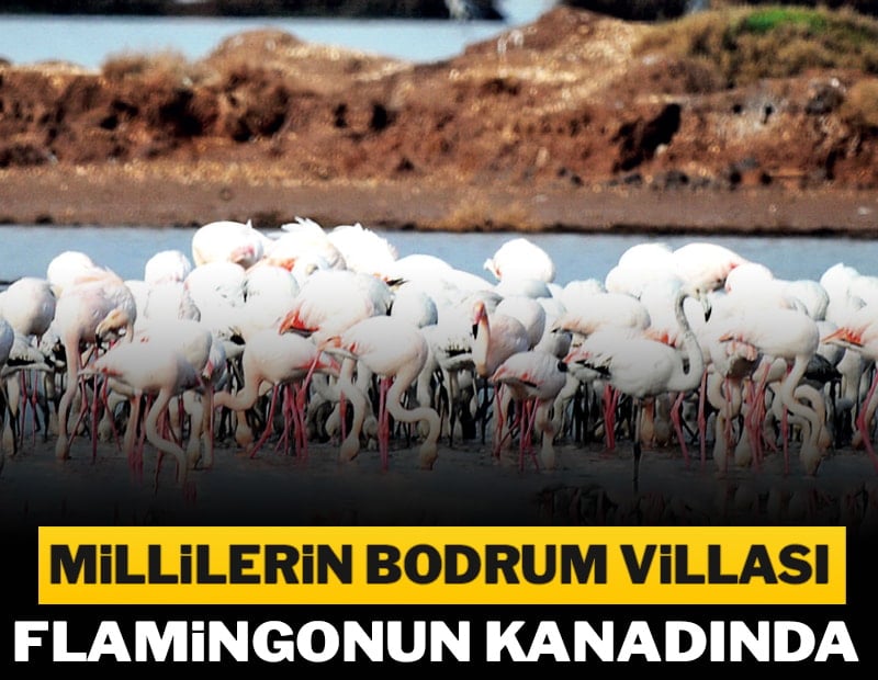 Milli bahane ile talan planı