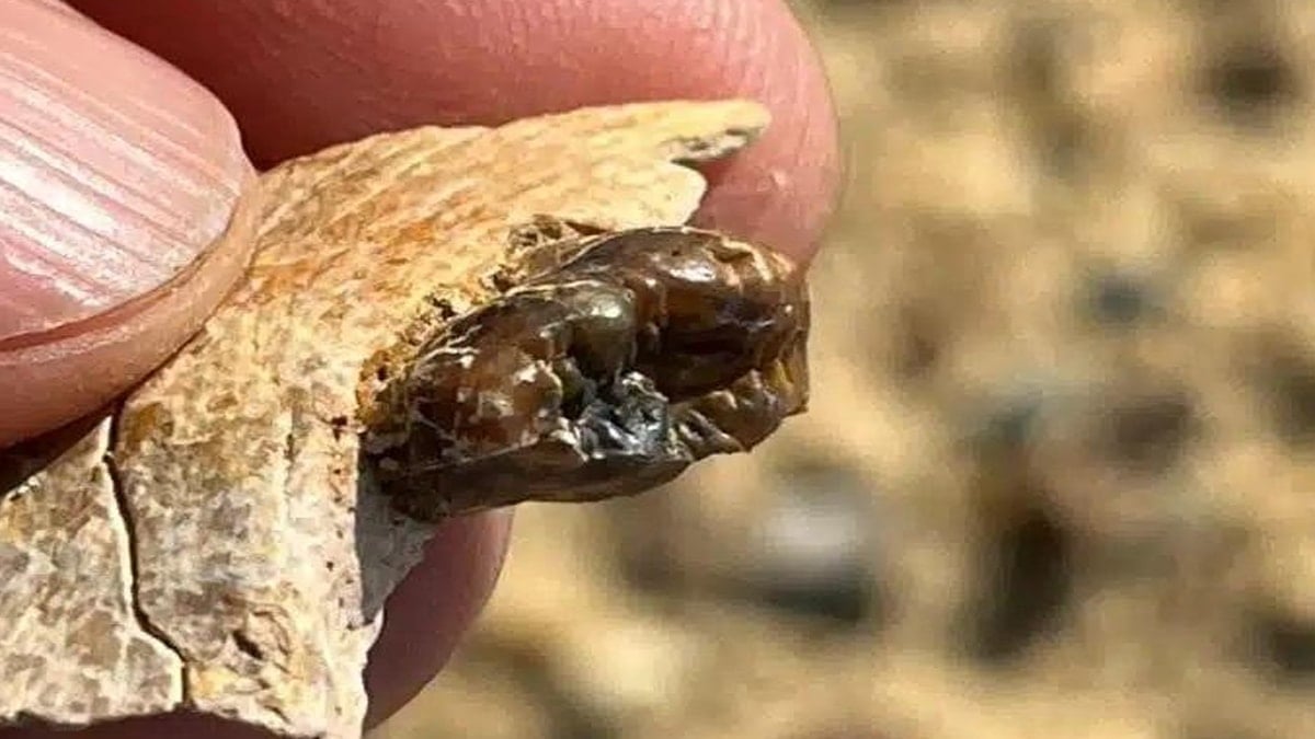 Ülkenin en unutulmuş kısmında bulundu: İşte önemi