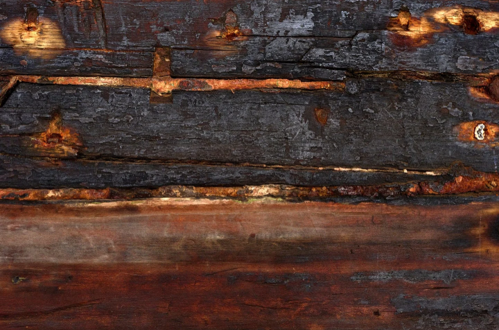 Koskoca geminin rotasını polenler ele verdi