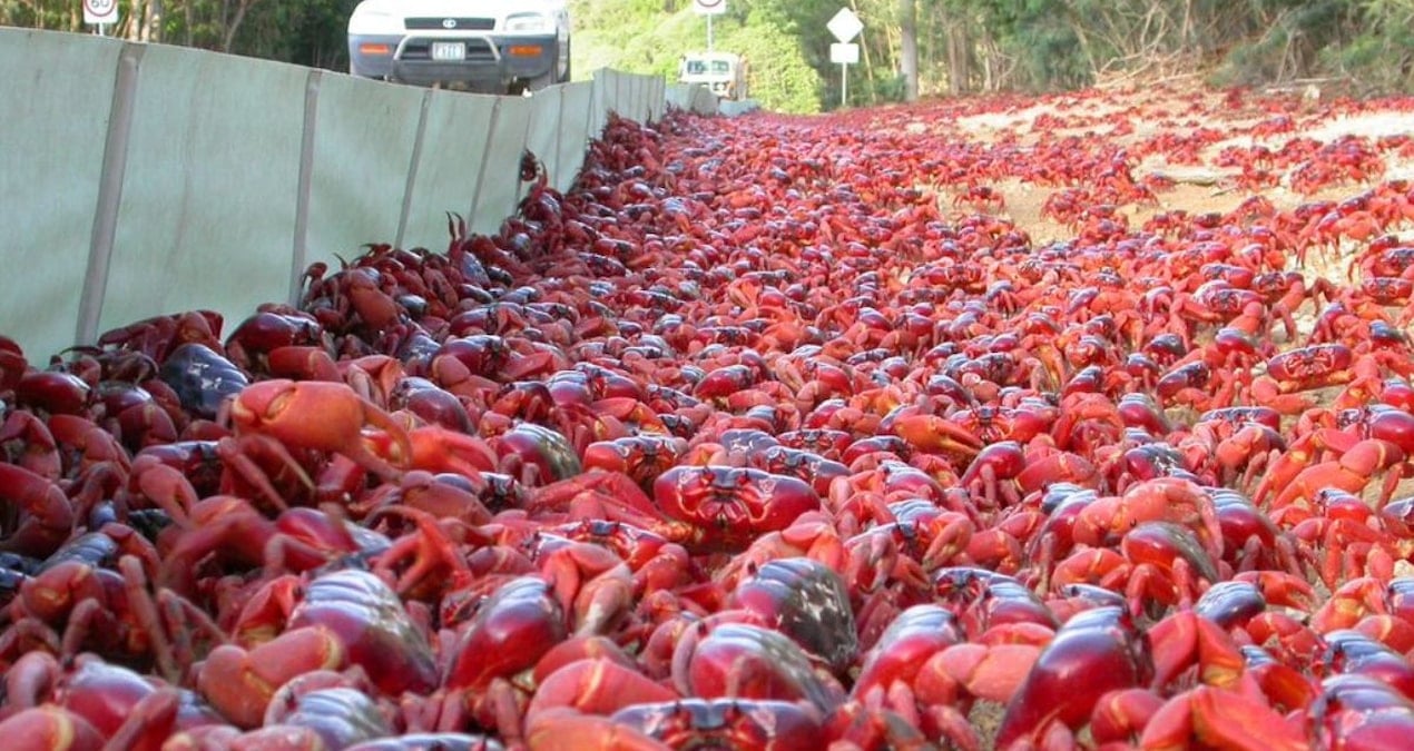 Milyonlarcası harekete geçti: Her yeri kırmızıya boyayacaklar