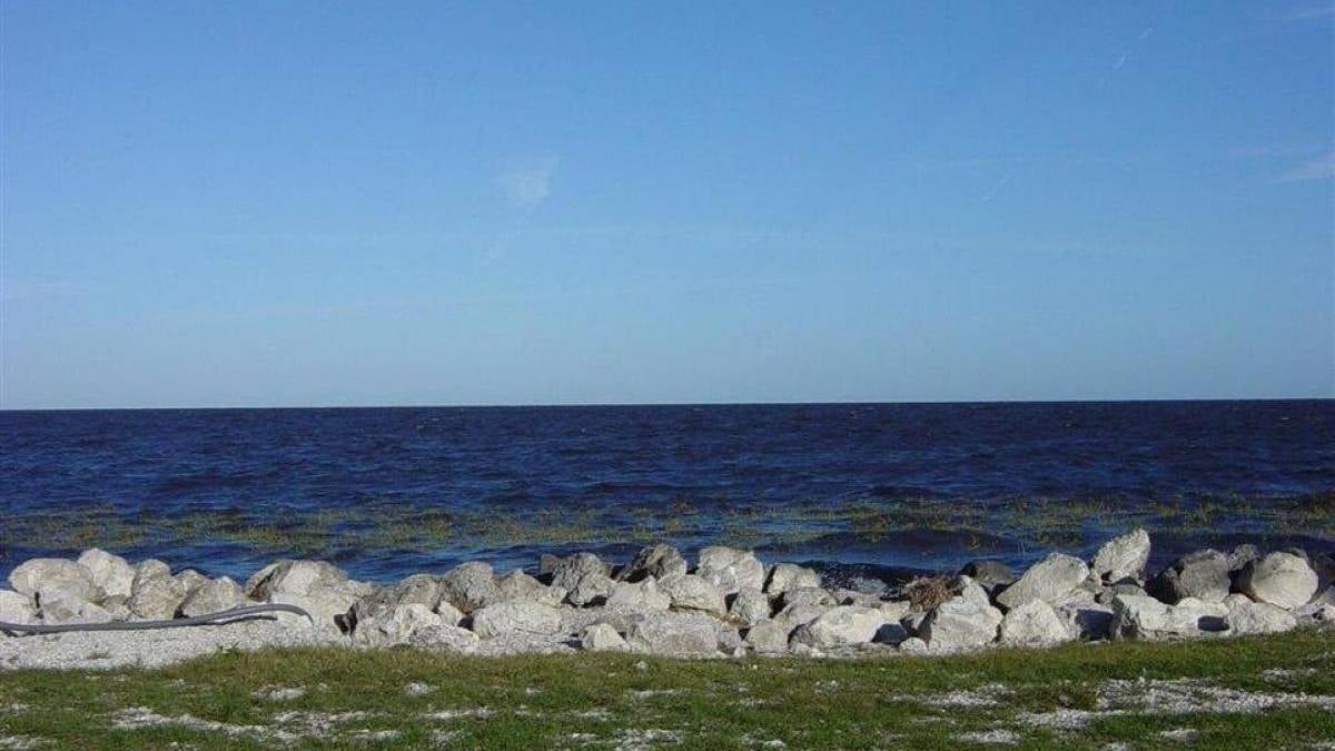 Dünyanın en tehlikeli suyu: 30 bin yaratık yaşıyor