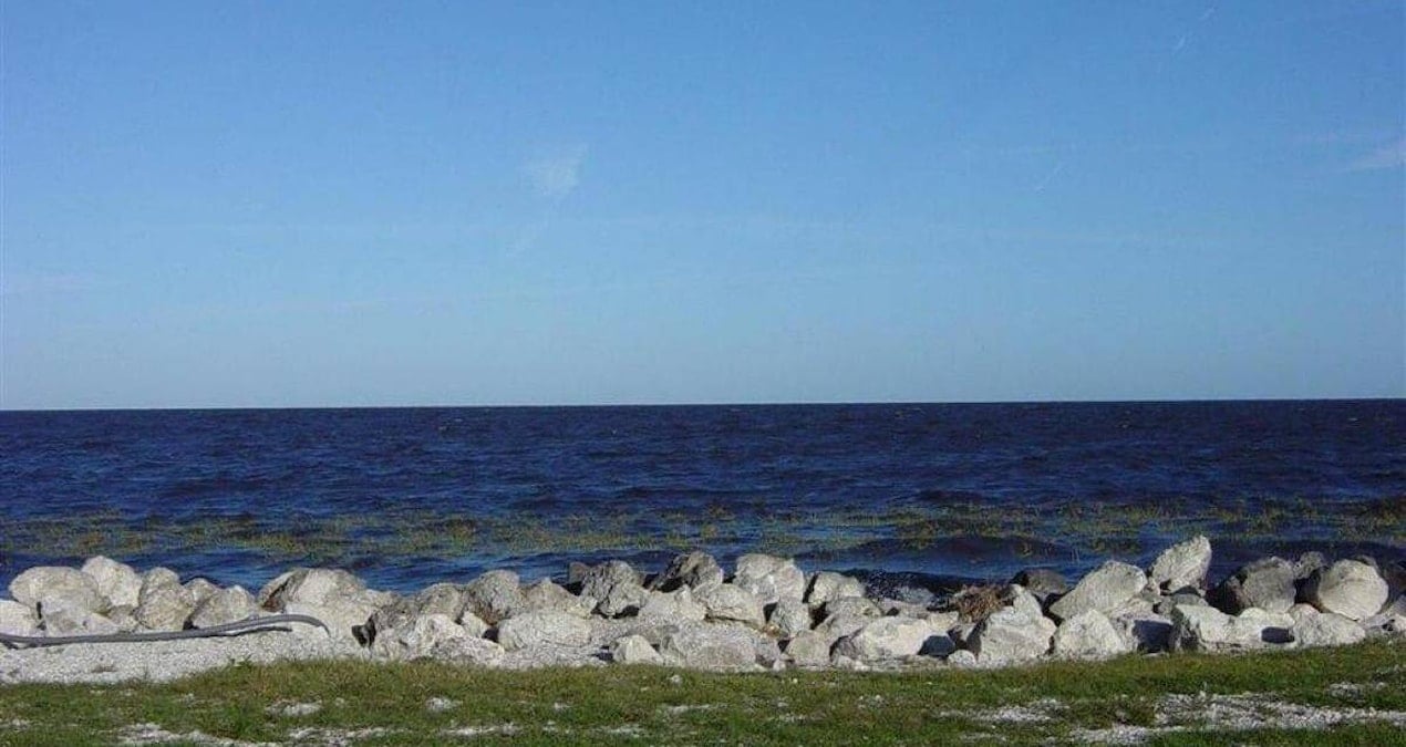 Dünyanın en tehlikeli suyu: 30 bin yaratık yaşıyor