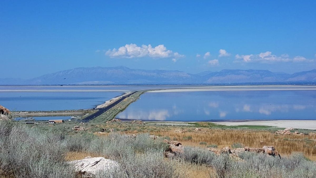 Büyük Tuz Gölü'nde hayatta kalabilen canlının sırrı açığa çıktı 