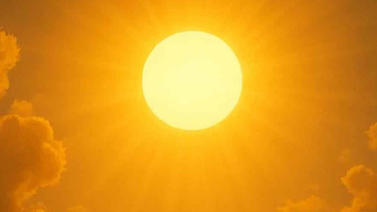 Güneşten bedava toplayıp satacaklar