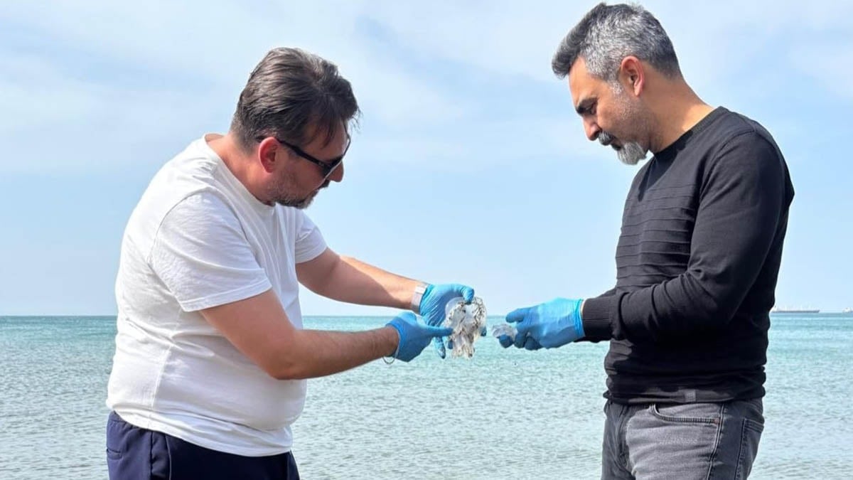 Hatay'da tedirgin eden görüntü
