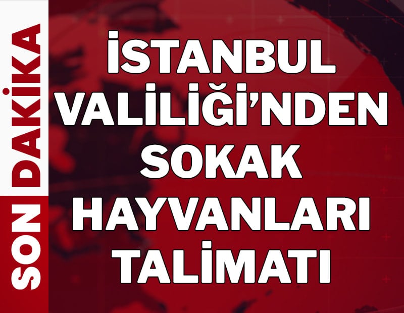 İstanbul Valiliği'nden sokak hayvanları için talimat