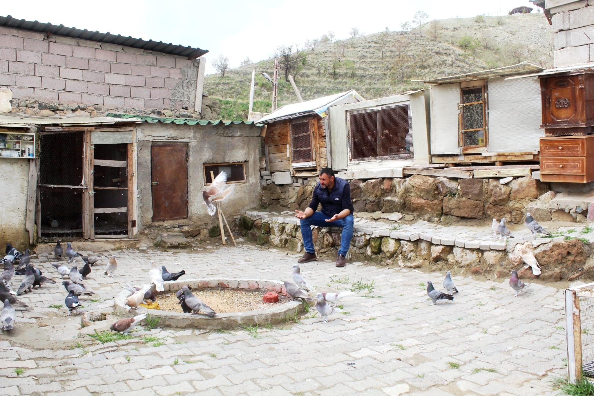 Tek bir tanesini ev parasına satıyor