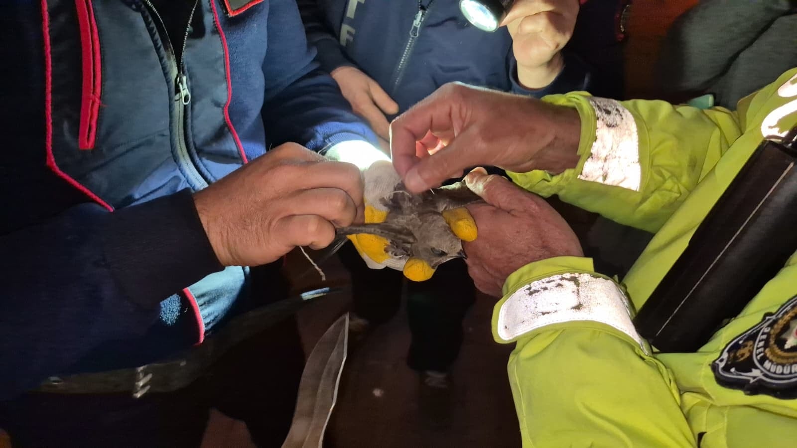 Ebabili kurtarmak için cadde trafiğe kapatıldı