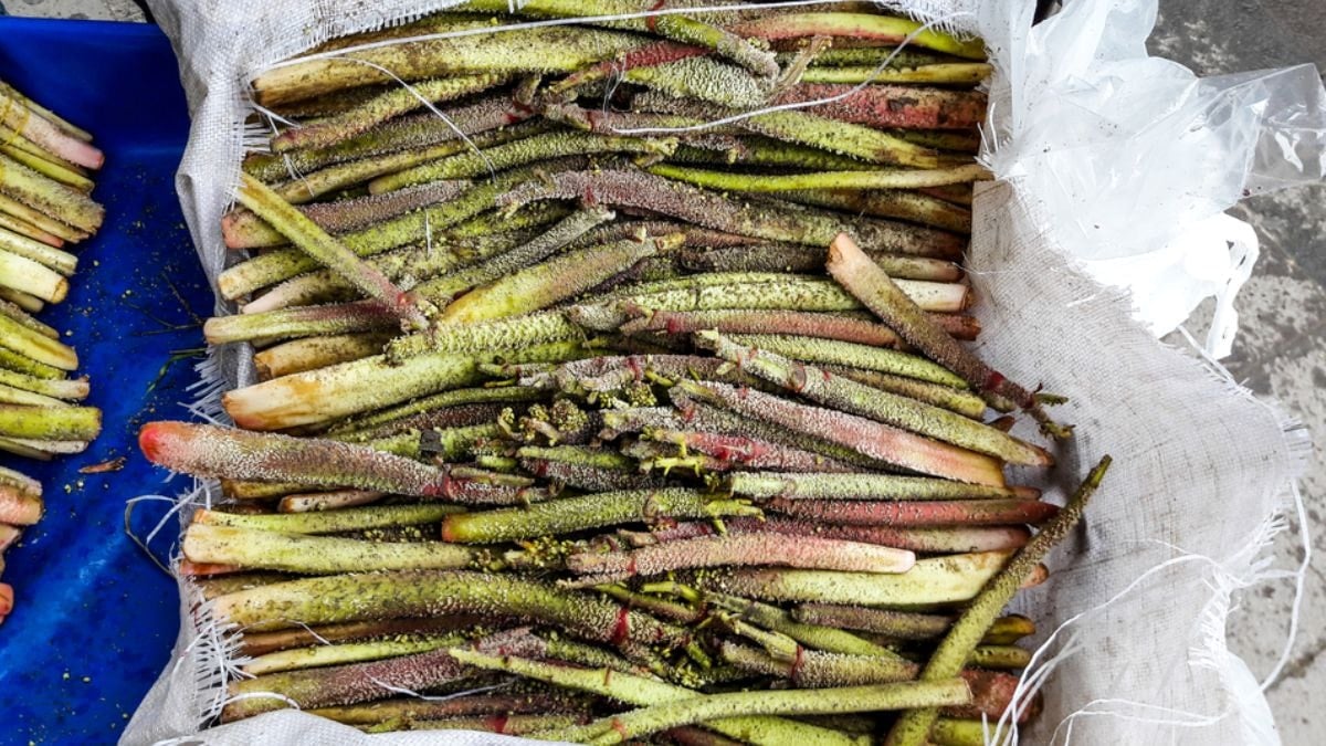 Toplayıp satanlar paraya para demiyor