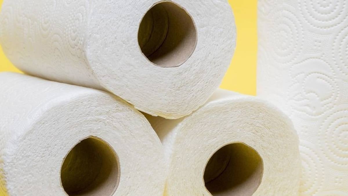 Evde kağıt havlu kullanırken bir kez daha düşünün
