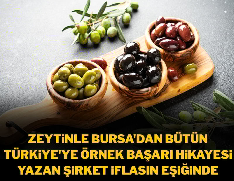 40 yıllık zeytin firması konkordato ilan etti