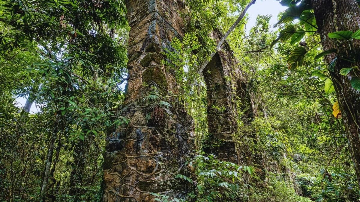 Doğanın sakladığı 5 bin yıllık kale gün yüzüne çıktı