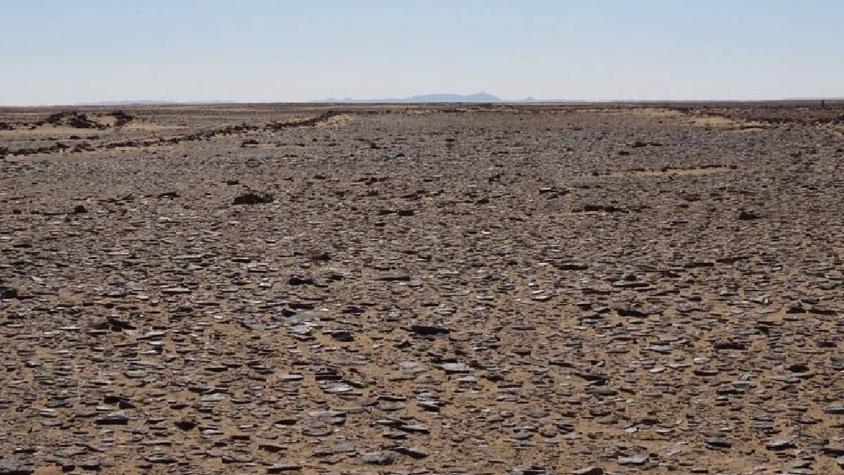 Çölün ortasında 7000 yıllık devasa bir taş kapı bulundu